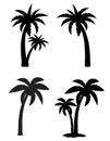 Palm tropical tree set icons black silhouette Royalty Free Stock Photo