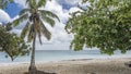 Palm and tropical trees lean over the sandy beach. Royalty Free Stock Photo