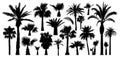 Palm tropical trees silhouette. Isolated on white background. Vector set Royalty Free Stock Photo