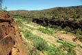 Palm Valley, Australia Royalty Free Stock Photo