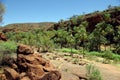 Palm Valley, Australia Royalty Free Stock Photo