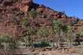 Palm Valley West MacDonnell Ranges Northern Territory Australia Royalty Free Stock Photo