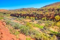 Palm Valley panorama Royalty Free Stock Photo