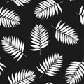 Palm white leaves on the black background. Seamless pattern with tropical plants.