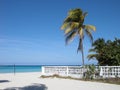 Palm, wihite sand beach with Cariibbean sea and blue sky