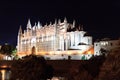 Palma Cathedral at night in Majorca Royalty Free Stock Photo