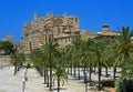 Palma Cathedral with palms, Majorca Royalty Free Stock Photo