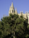 Palma de Mallorca Royalty Free Stock Photo