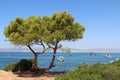 Palma de Mallorca landscape Royalty Free Stock Photo