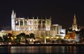 Palma de MallorcaÃÂ´s cathedral night from front dock Royalty Free Stock Photo