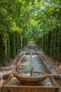 Garden and fountain at Royal Palace of La Almudaina, Alcazar fortified palace of the city. Palma, Majorca, Spain Royalty Free Stock Photo