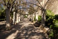 Palma Mallorca almudaina kings royal palace garden arch walkway passage Royalty Free Stock Photo