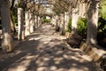 Palma Mallorca almudaina kings palace garden arch walkway passage path Royalty Free Stock Photo