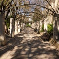 Palma Mallorca almudaina kings palace garden arch park Royalty Free Stock Photo