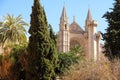 Palma Mallorca cathedral Santa Maria La Seu front view rose window distant