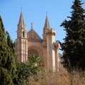 Palma Mallorca cathedral Santa Maria La Seu front view rose window vertical Royalty Free Stock Photo