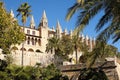 Palma Mallorca cathedral Santa Maria La Seu side view city wall palm trees Royalty Free Stock Photo