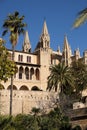 Palma Mallorca cathedral Santa Maria La Seu side view vertical Royalty Free Stock Photo