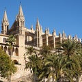 Palma Mallorca cathedral Santa Maria La Seu sunny side view Royalty Free Stock Photo