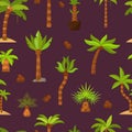 Palma vector palmaceous tropical tree with coconut or green exotic leafs and palmetto on tropic beach illustration palmy