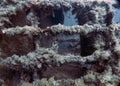 The Palma Wrecks near the harbour at Palma de Mallorca