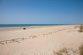 Palmar Beach in Cadiz Royalty Free Stock Photo