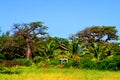 Palmarin, in the heart of Sine Saloum delta in Senegal