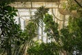 Palmenhaus Greenhouse at Schonbrunn Palace - Vienna, Austria Royalty Free Stock Photo