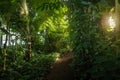 Palmenhaus Greenhouse at Schonbrunn Palace - Vienna, Austria Royalty Free Stock Photo