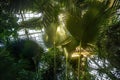 Palmenhaus Greenhouse at Schonbrunn Palace - Vienna, Austria Royalty Free Stock Photo