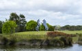 Palmer Wines Restaurant Island Sculptures