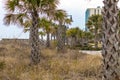 Grand Strand Myrtle Beach Boardwalk Royalty Free Stock Photo