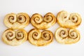 Palmiers Royalty Free Stock Photo