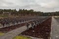 Tombs in the Cemetery in Palmiry, Poland