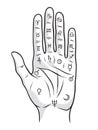 Palmistry or chiromancy hand with signs of the planets and zodiac signs black and white hand drawn design isolated vector illustra