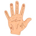 Palmistry or chiromancy hand with signs of the planets and zodiac signs. Palmistry map on open palm. Divination and