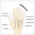 Palmistry. Guessing on the hand. The lines on the hand.