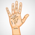 Palmistry Map