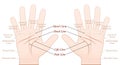 Palmistry Right Left Hand White