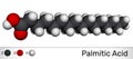 Palmitic acid or hexadecanoic, C16H32O2 molecule. It is saturated fatty acid. Molecular model Royalty Free Stock Photo