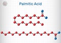 Palmitic acid or hexadecanoic, C16H32O2 molecule. It is saturated fatty acid. Structural chemical formula and molecule model. Royalty Free Stock Photo