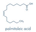 Palmitoleic acid omega-7 fatty acid molecule. Skeletal formula. Royalty Free Stock Photo