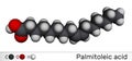 Palmitoleic acid, palmitoleate molecule. It is an omega-7 monounsaturated fatty acid. Molecular model Royalty Free Stock Photo