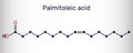 Palmitoleic acid, palmitoleate molecule. It is an omega-7 monounsaturated fatty acid. Skeletal chemical formula Royalty Free Stock Photo