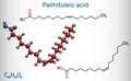 Palmitoleic acid, palmitoleate molecule. It is an omega-7 monounsaturated fatty acid. Structural chemical formula on the dark blue