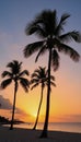 Palmlined sunset beach scene landscape illustrative Royalty Free Stock Photo