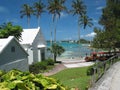 Palms and 2 Houses Royalty Free Stock Photo