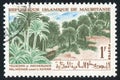 Palms at Adrar