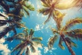 Palms against blue sky, upward perspective Royalty Free Stock Photo