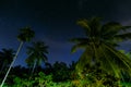 Palms against the starry sky at night Royalty Free Stock Photo